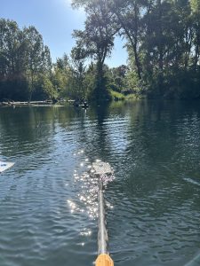 Das Foto zeigt ein Skull und ein Schwimmtier im Lingenfelder Altrhein. Es ist eine schwarze Katze. Sie ist ungefähr in der Mitte ganz klein zu sehen.